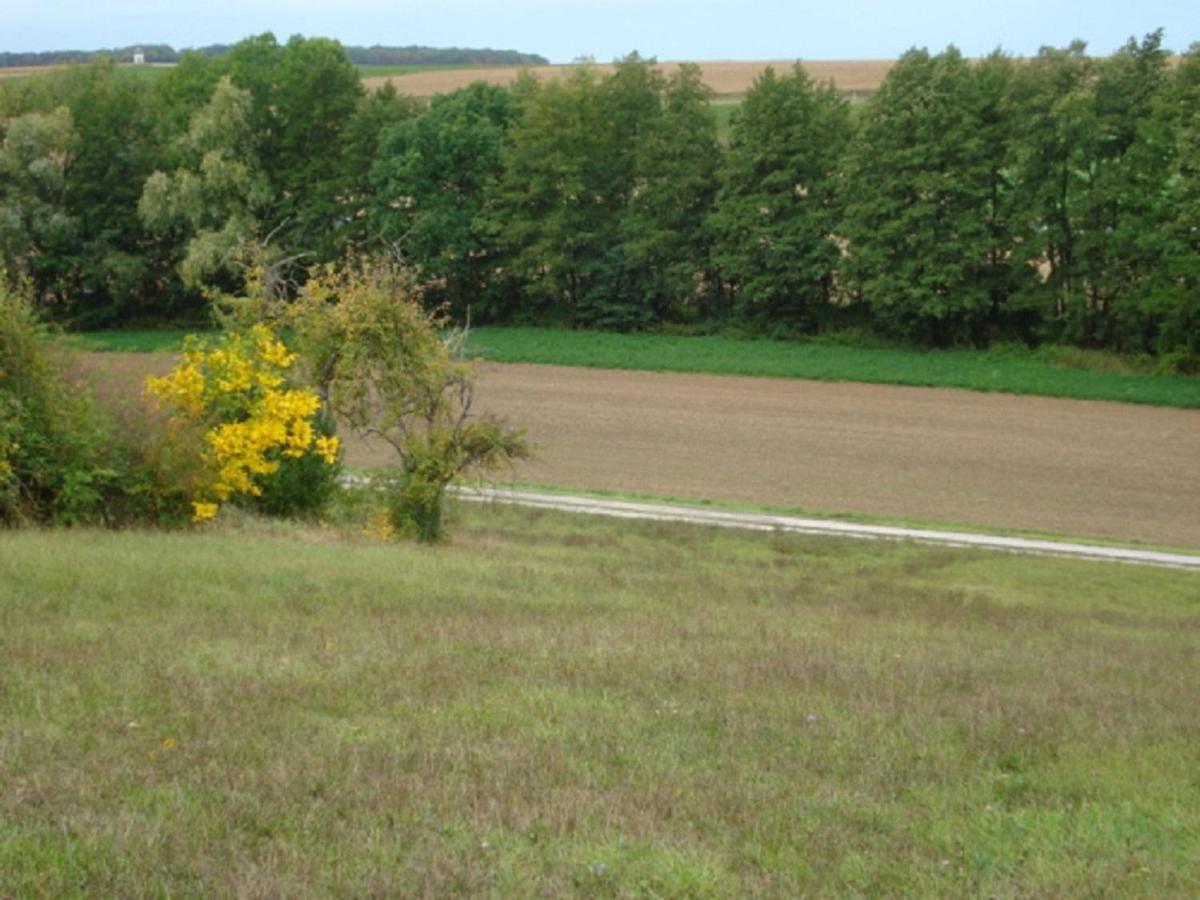 Ferienwohnung Troeppner Kolitzheim Buitenkant foto